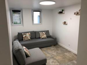 a living room with a gray couch and two windows at Studio calme proche centre-ville in Cholet