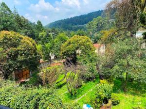 an overhead view of a garden with trees and bushes at Alojamiento tipo Cabaña, rodeado de Bosque in Mexico City