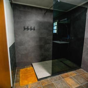 a shower with a glass door and a sink at La Campierelle in Salazie
