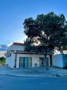 a building with a tree in front of it at Pousada Velho Brito in Piranhas