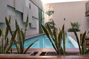a house with a swimming pool and some plants at Departamento - Salta Capital - Edificio Usina in Salta