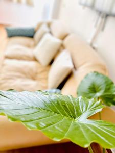 Posezení v ubytování Mia Luxury apartments