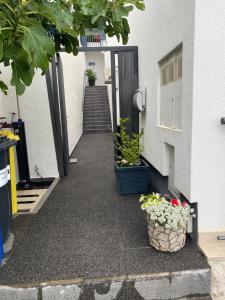 Fotografie z fotogalerie ubytování Apartments More Marušići v destinaci Marusici 