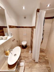 a bathroom with a sink and a shower and a toilet at Anana Apartment in Cres