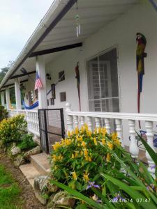 Taman di luar Villa Las Colonias