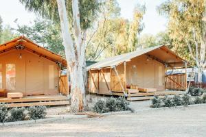two large tents sitting next to a tree at Camping Miramar Playa - tienda familiar in Torredembarra