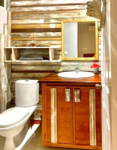 a bathroom with a toilet and a sink and a mirror at Villa Maui1 in Vaihi