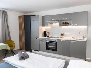 a kitchen with gray cabinets and a sink and a stove at Tirolee Marchegg EG Top 2 in Wildschönau +10 photos