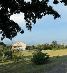 a house sitting on top of a lush green field at Sweet house in Podgorica