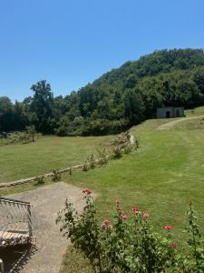 a bench on a hill with a field of flowers at Sweet house in Podgorica