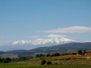 vista su una catena montuosa con montagne innevate di Lo Cantou Comfortable holiday residence a Camplong-dʼAude