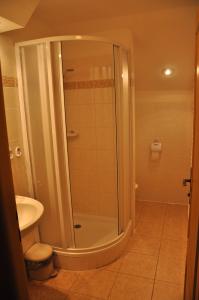 een badkamer met een douche, een toilet en een wastafel bij Pension Nostalgie in Beroun