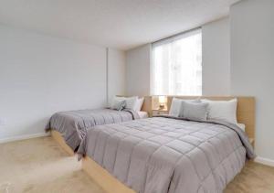 deux lits dans une chambre blanche avec une fenêtre dans l'établissement Spacious Apartment With 2 Bedrooms, à Arlington