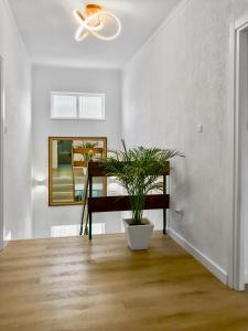 Fotografia z galérie ubytovania Villa Alamos Jerez I Piscina Salada Climatizada I BBQ I Jardines I 850m2 v destinácii Jerez de la Frontera