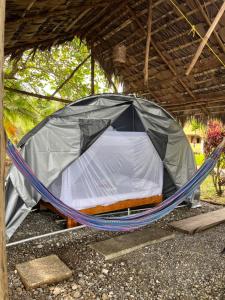 Fotografie z fotogalerie ubytování Popochos Beach Eco Lodge v destinaci Nuquí