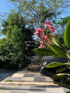 a car parked in a garden with pink flowers at bleesed House aeropuerto in Monte Adentro