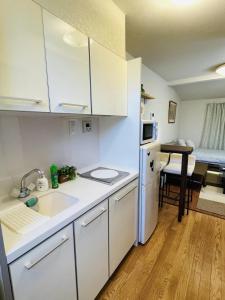 Yokohama Ivy 103 - 横浜アイビー清水ヶ丘103 - في يوكوهاما: مطبخ صغير مع حوض وثلاجة