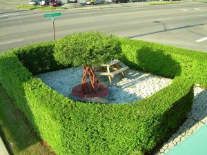 a bush with a tree in it next to a street at Swiss Cottage Inn in Niagara Falls