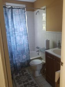 a bathroom with a toilet and a shower curtain at Private Room in Cozy home in Memphis