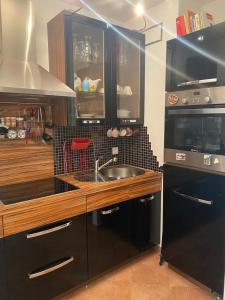 a kitchen with a sink and a microwave at bei Tante Tina in Bad Bergzabern