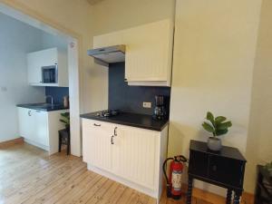 Kuchyň nebo kuchyňský kout v ubytování Apartment Spaces