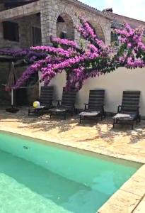Πισίνα στο ή κοντά στο Villa Porec Katun