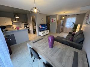 TV a/nebo společenská místnost v ubytování Villa en Provence 2 T3 jardin clos et SPA
