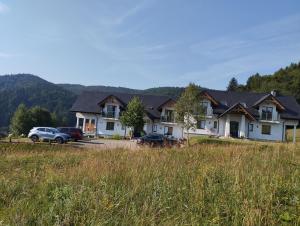 齐斯纳ELFF -Apartamenty i pokoje gościnne的一座大型房子前面有汽车停放
