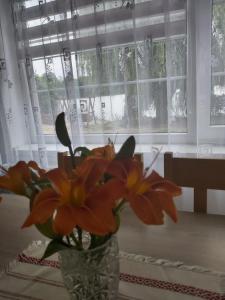 Fotografia z galérie ubytovania Agroturystyka "Jezioranka" v destinácii Unichowo