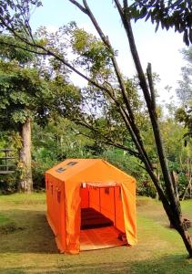 Zahrada ubytování Kebun Hanoman Camping Ground
