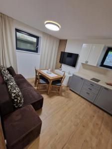 斯塔利斯莫克维克Suterénový Apartmán Starý Smokovec的客厅里有一张沙发和一张桌子。