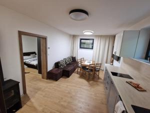 斯塔利斯莫克维克Suterénový Apartmán Starý Smokovec的客厅里有一张沙发和一张桌子。