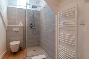 a bathroom with a shower and a toilet at La Petite Maison du Pêcheur - Proche plage pour 5p in Sarzeau +16 photos