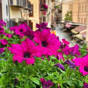 Zahrada ubytování Il Rosone Luxury B&B