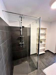 a shower with a glass door in a bathroom at Casa Ilici in Sviniţa