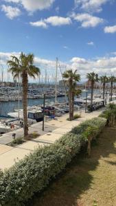 un puerto deportivo con palmeras y barcos en el agua en L'évasion, en Le Barcarès 29 fotos más