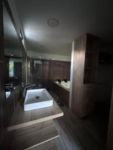 une salle de bain avec une baignoire et un lavabo dans l'établissement Hermosa casa con hermosas amenidades y cuartos zona universitaria con luxxury amanecer con vista, à Lomas de Angelopolis