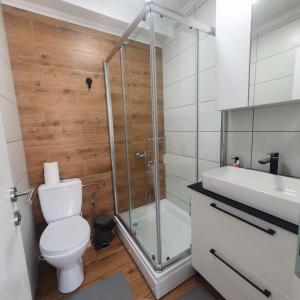 a bathroom with a shower and a toilet and a sink at Royal Villa - HAWAII in Vrnjačka Banja +25 photos
