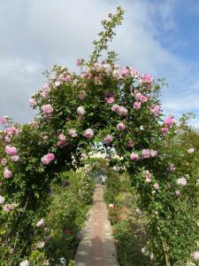 an arch of roses in a garden at Summer house nearCaspian sea Fatmai, Baku Дачный дом на берегу моря, Фатмаи, Баку in Baku