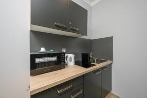 Kuchyň nebo kuchyňský kout v ubytování Palais Pálffy Apartments Vienna