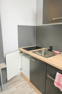 Kuchyň nebo kuchyňský kout v ubytování Palais Pálffy Apartments Vienna