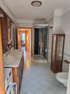 a bathroom with a sink and a shower at Mansarda Belvedere in Molveno