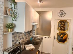 Koupelna v ubytování Studio Coeur Delille FSHH