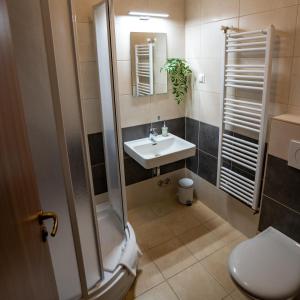 a bathroom with a shower and a sink and a toilet at Migazzi Vendégház in Vác