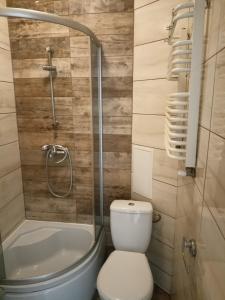 Un pequeño baño con inodoro y ducha. en relax apartament, en Skarzysko-Kamienna