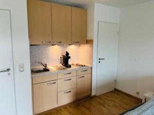 a kitchen with a sink and a counter top at Panorama-Haus Appartment PFÄNDER - Bergblick, Badezimmer, Kitchenette, eigene Sonnenterrasse in Wangen im Allgäu +11 photos