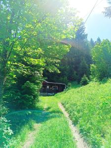 a path leading to a cabin in the middle of a field at Cabana din padure in Neagra +10 photos