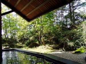 a view of a pool of water with trees in the background at Hotel de Premiere Minowa in Inawashiro