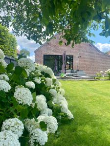 Zahrada ubytování Hoeve De Kleinheide