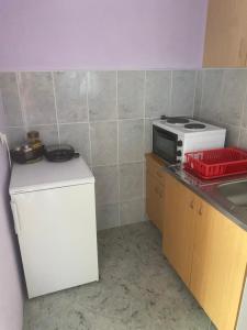 Kuchyň nebo kuchyňský kout v ubytování Vila Konstantinović
